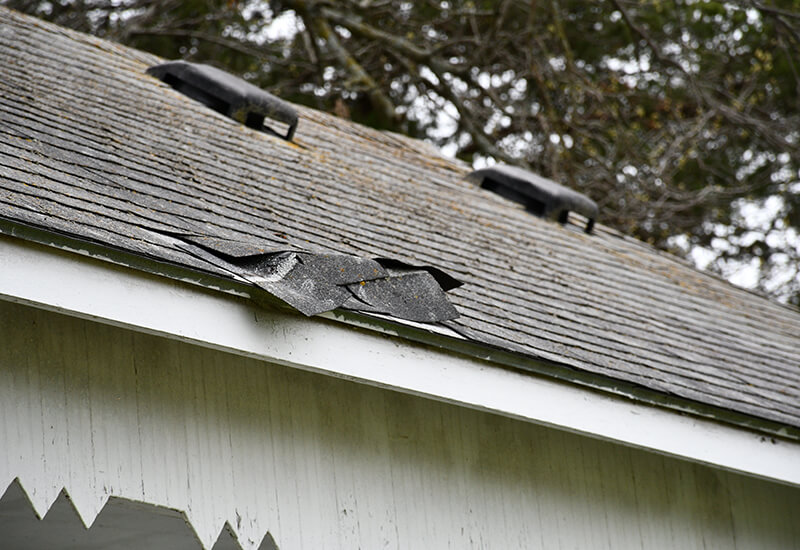 Damaged Roof Shingles
