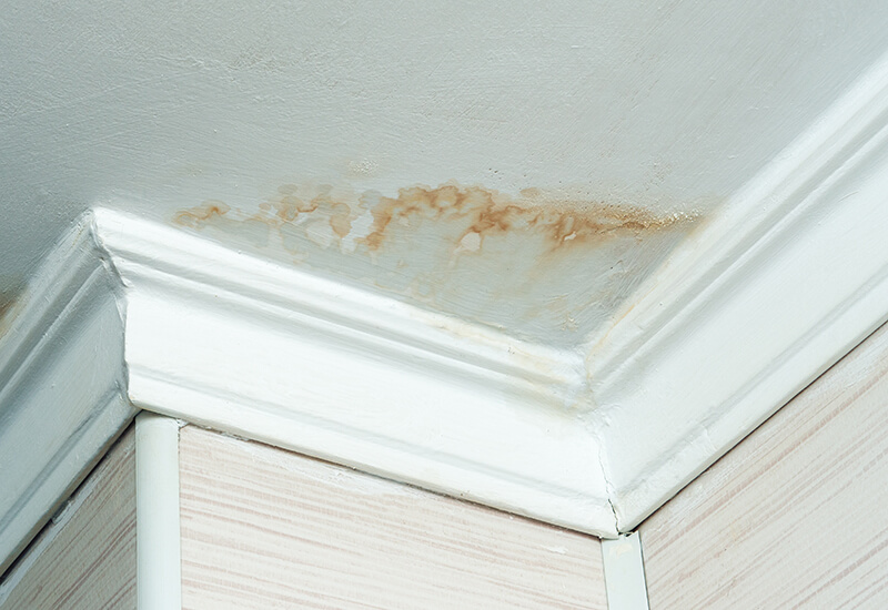 Neighbors Have A Water Leak, Water Damaged Ceiling, Close Up Of A Stain On The Ceiling